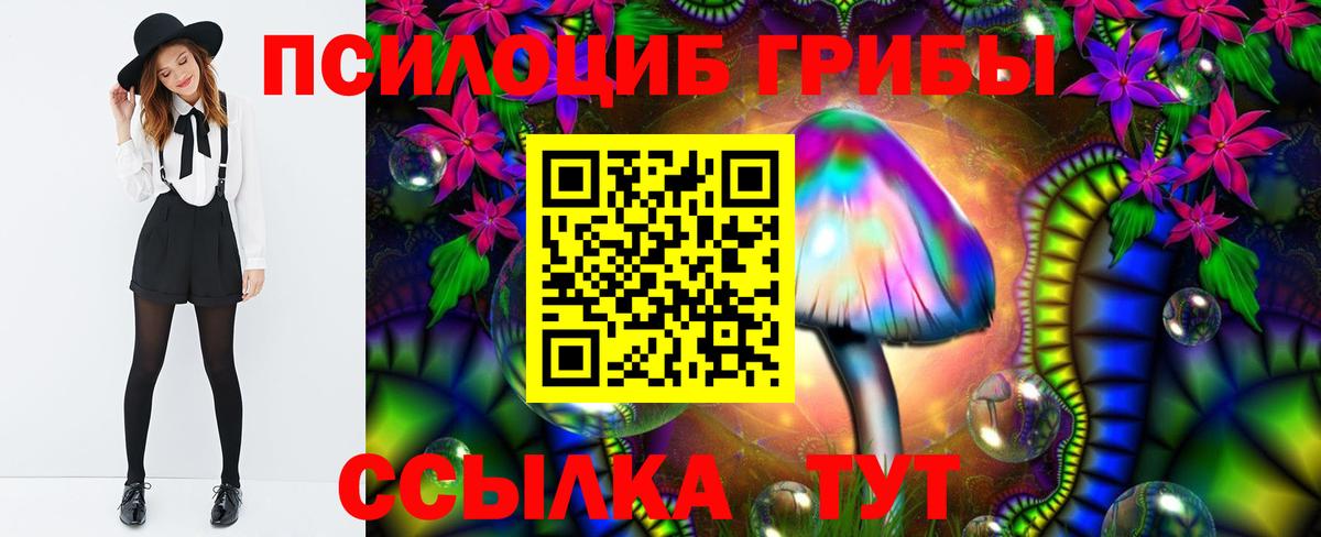 Псилоцибиновые грибы Psilocybe  Вход с VPN  Белогорск 